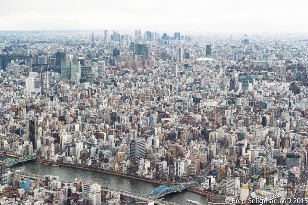 20150310_145732 D4S.jpg - View from Tokyo Skytree